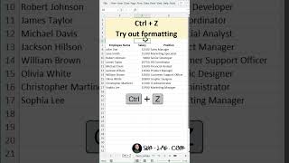 Excel Shortcut Ctrlz applications excel [upl. by Pul442]