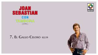 El Gallo Celoso  Joan Sebastian Audio Oficial [upl. by Pacifica]