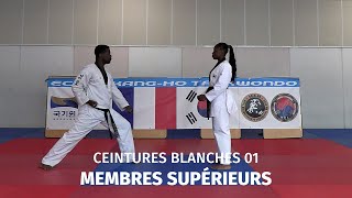 Kang Ho • Hanbon Kyorugui • Ceintures Blanches [upl. by Enerak]