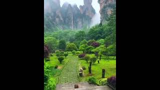 National Forest Park in Zhangjiajie City China [upl. by Ninazan]