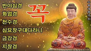 하루 1번 듣기 대운과 만사대길을 여는 반야심경 천수경 천지팔양신주경 금강경 🙏 행운과 성공을 부르는 기도 [upl. by Vardon875]