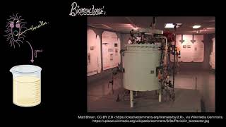 Bioreactors Simple stirred amp sparged  Biotechnology principles  Biology  Khan Academy [upl. by Nairad]