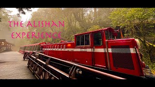 Alishan’s One and Only 5 stars hotel Indigo Alishan阿里山英迪格酒店） Ep1 [upl. by Rotsen]