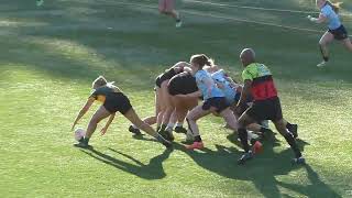 2024 11 03 PA State Semifinals Doylestown Rugby Team vs Downingtown [upl. by Naraj]