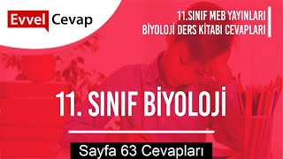 11 Sınıf Biyoloji Meb Yayınları Ders Kitabı Cevapları Sayfa 63 [upl. by Didi]