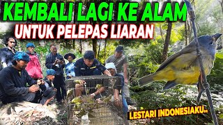 quotINI TUJUAN GUE quot ‼️ LAGI DAN LAGI MELEPASKAN BURUNG DI ALAM BEBAS [upl. by Rube]