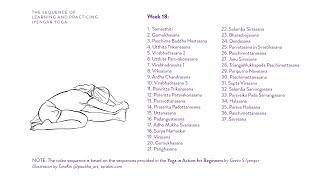 Week 18 Learning and Practicing Iyengar Yoga for Beginners [upl. by Isyed]