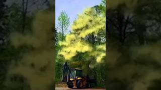 Why Your ALLERGIES Got WORSE tree pollen nature howto [upl. by Einnov]