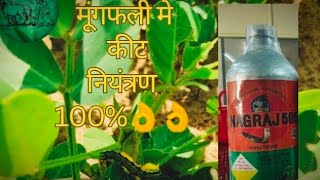 Nagraj 505 Insecticide Chloropyriphos 50  Cypermethrin 5 EC मूंगफली में कीट नियंत्रण कैसे करें [upl. by Alyahs]