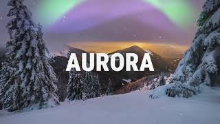 Introducing Aurora Winter Tyres  Albourgh [upl. by Anaitit321]