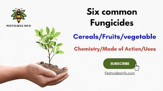 Overview of Six Common Fungicides Chemistry formulation Mode of Action and Uses [upl. by Kirsch17]