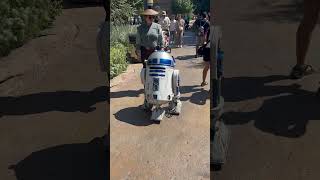 R2D2… Galaxy’s Edge Disneyland [upl. by Assereht]