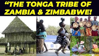 THE INTERESTING THINGS ABOUT THE TONGA TRIBE OF ZAMBIA amp ZIMBABWE [upl. by Wanonah]