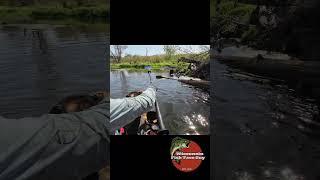 Time to Portage Rivers LOW and BLOCKED youtubeshorts bassfishing kayaking portage fishing [upl. by Dnomde]