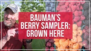 Baumans Berry Sampler Grown Here at the Farm [upl. by Lombardi]