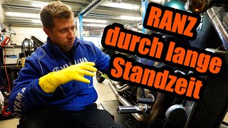 Lange Standzeit zerfrisst das Motorrad  Honda VT 750C Shadow [upl. by Adhern]