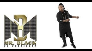 Hoy Que No Estas Aqui Audio  Mr Black El Presidente ® 2013 [upl. by Skrap]