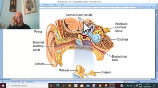 Neurosurger in Arabic 1  Brain Abscess   by Dr Wahdan [upl. by Kennedy933]