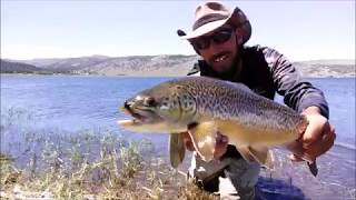 Panguitch Lake July 1st 2019 Fly Fishing Big Tiger Trout [upl. by Eelnodnarb635]