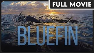 Bluefin 1080p FULL DOCUMENTARY  Animal Conservation Educational Environmental [upl. by Noval]