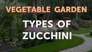 Types of Zucchini [upl. by Aw]