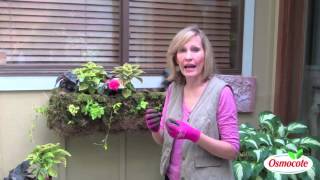 Professional Design Tips For Colorful Container Gardens [upl. by Dyann877]