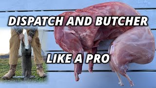 How to Raise and Butcher Meat Rabbits COMPLETE GUIDE [upl. by Rubma675]