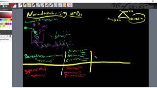 Intro to Nondepolarizing Neuromuscular Blockers [upl. by Hamford]