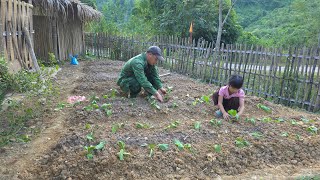 Girl Linh Dan and Uncle Thanh grow crops make vegetable gardens and build fences to prevent theft [upl. by Travis]