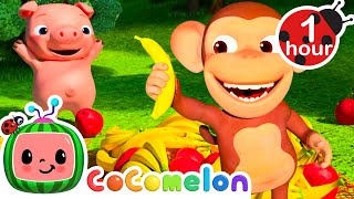 Apples and Bananas  1 Hour CoComelon Animal Time  Healthy Fruit Nursery Rhymes for Kids [upl. by Barden]