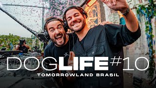 DOGLIFE 10  Tomorrowland Brasil [upl. by Rosemarie432]