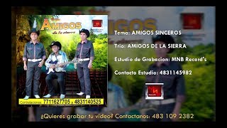 Amigos De La Sierra  AMIGOS SINCEROS Audio [upl. by Ruffina]