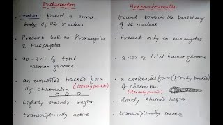 Euchromatin Vs Heterochomatin pharmacology cellbiology biology [upl. by Creighton]