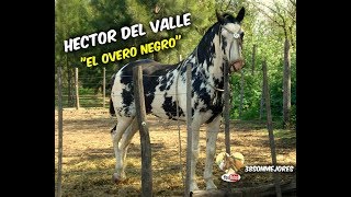 El Overo Negro  Hector del Valle [upl. by Eillod]