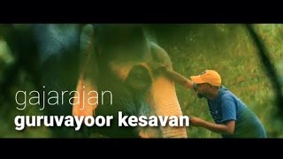 Gajarajan Guruvayoor Kesavan  Art Documentary  Trailer aanamaker [upl. by Atiuqaj]