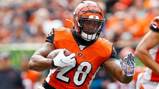 Joe Mixon FULL 2019 Highlights [upl. by Munniks]