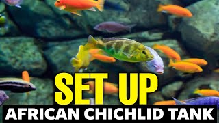 How To Setup An African Cichlid Tank 🐟 [upl. by Plume]