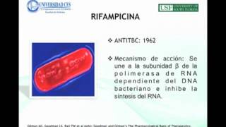 Hepatotoxicity Induced by Antituberculous Medications  Marie Claire Berrouet Mejia [upl. by Sapienza121]