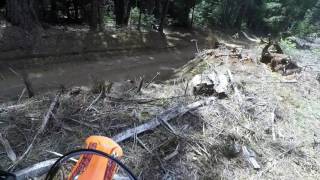 KTMs in the woods Riding in a logging area 5102017 [upl. by Thorma]