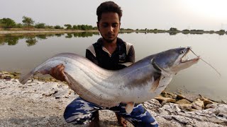 Incredible Wallago MonsterPatan fish catch [upl. by Lysander]