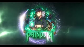 INTRO l PRINCEM [upl. by Einnim]