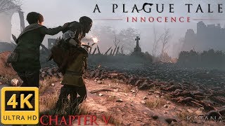 A Plague Tale Innocence 100 Walkthrough  Chapter 5  The Ravens’ Spoils [upl. by Thilda]