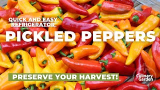 PICKLED SWEET PEPPERS Preserve your garden harvest in the fridge [upl. by Maunsell]