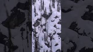 Winning Run  Travis Rice Shutting Down Natural Selection Tour Revelstoke [upl. by Akir366]