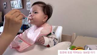 토핑 이유식 VLOG 청경채 토핑 먹어보는 184일 아기 [upl. by Sardella850]