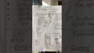 Endocrine 4  16 Nov 2017   ADH amp Thyroid hormones [upl. by Ferna]