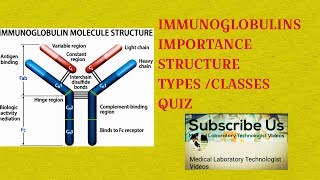 immunoglobulins structuretypes and functions [upl. by Ad]