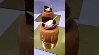 salted caramel entremet [upl. by Suoirad]