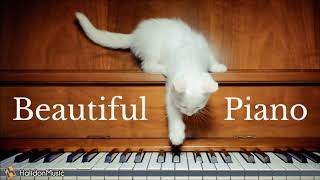 The Most Beautiful Piano Pieces  Classical Music [upl. by Araiek]