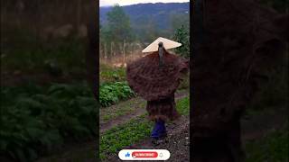 Making ancient Chinese raincoat raincoats ancientchina ytshorts [upl. by Mark]